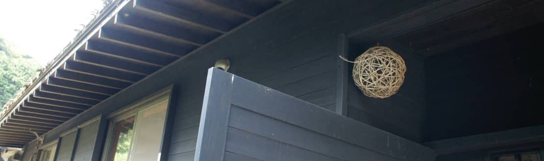 碧のプロポーサー